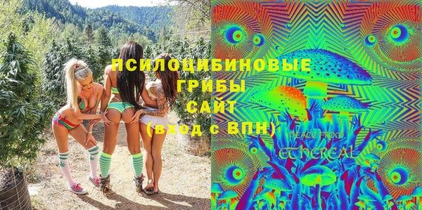 прущие грибы Верхнеуральск