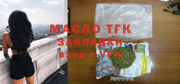спиды Богородицк