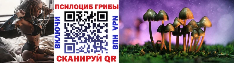 дарнет шоп  мориарти формула  Псилоцибиновые грибы Psilocybe  Ермолино 